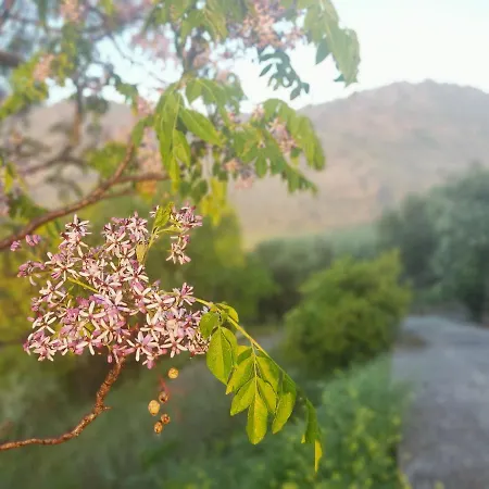 El Cortijuelo De Zalea Semesterbostad Málaga